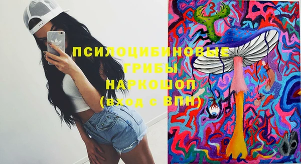 индика Абинск