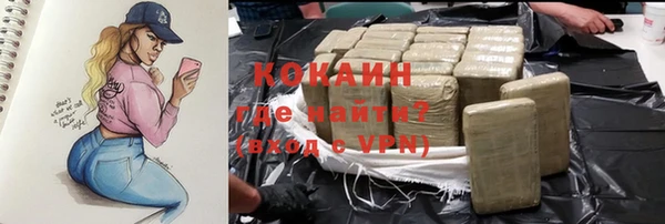 индика Абинск