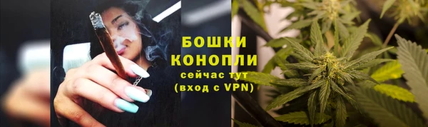 ECSTASY Абаза