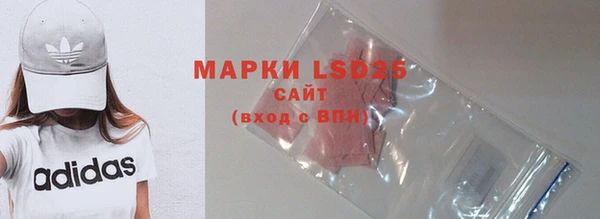 индика Абинск