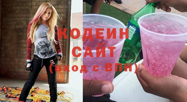 индика Абинск