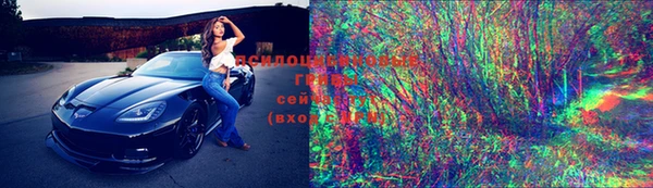ECSTASY Абаза