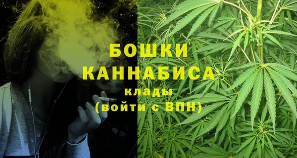 гидра Алексеевка
