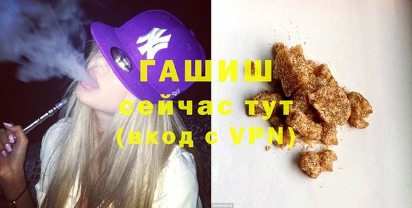 индика Абинск